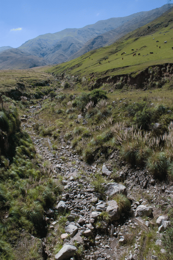 Argentina0217