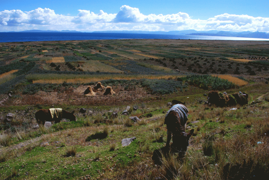 Peru0001