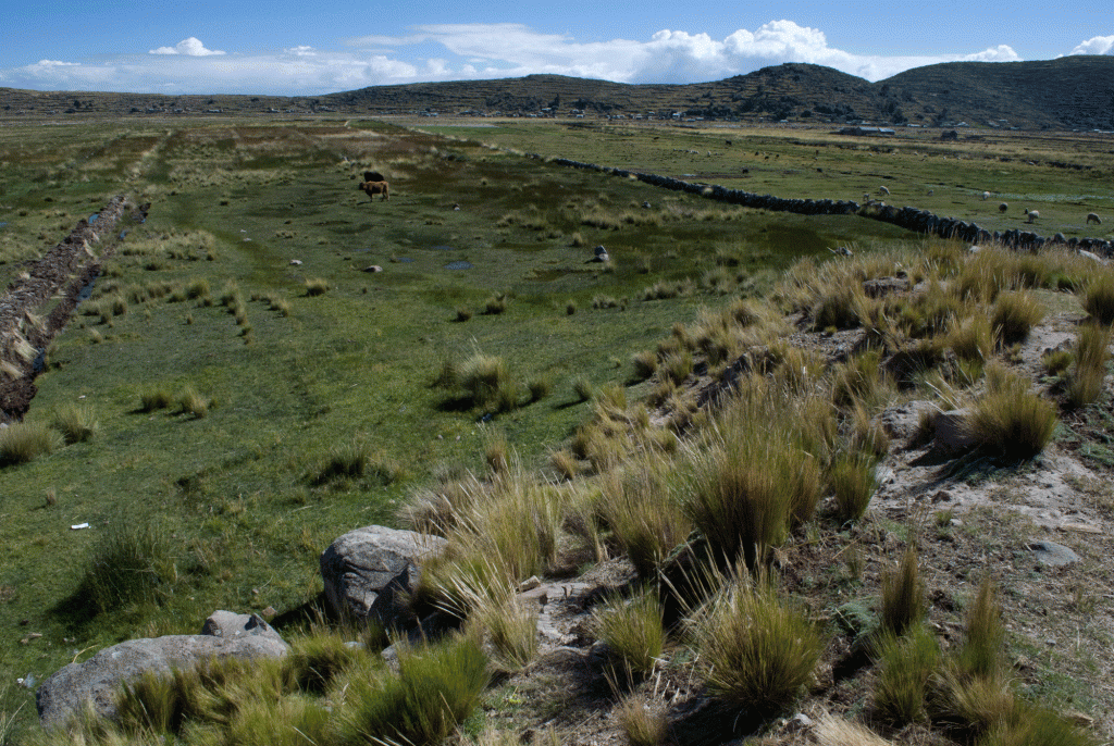 Peru0004