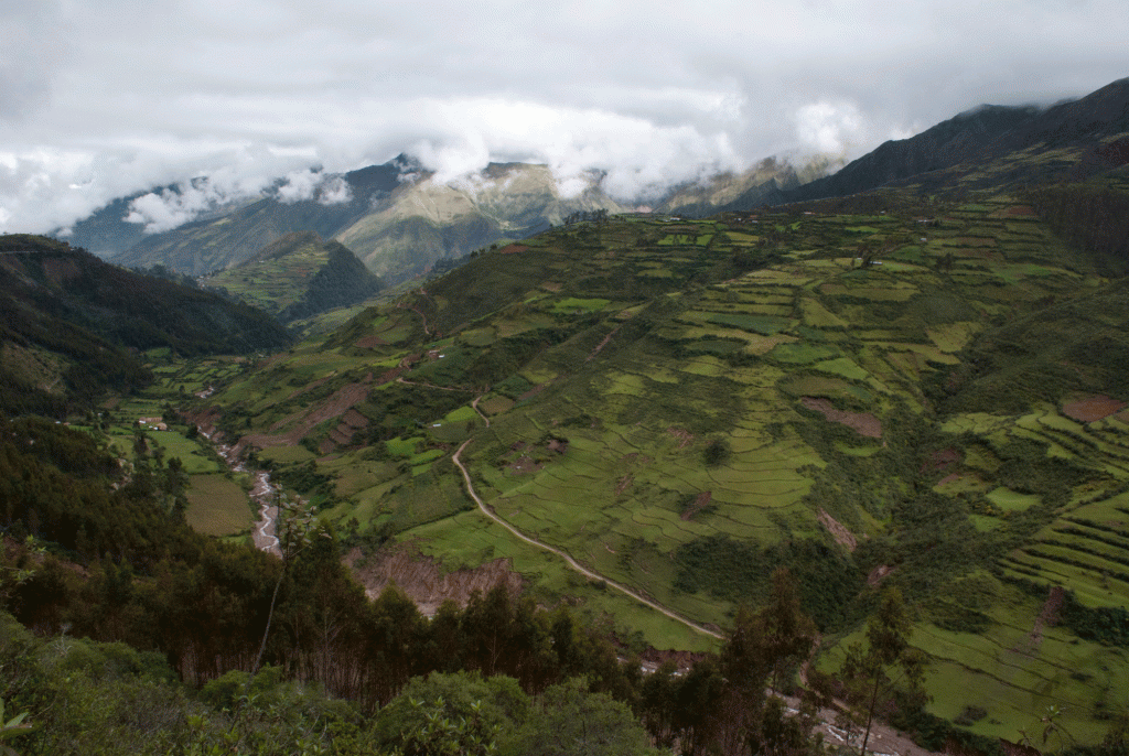 Peru0044
