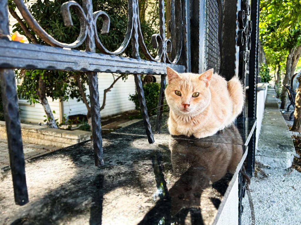 whatsapp_105 whatsapp_105