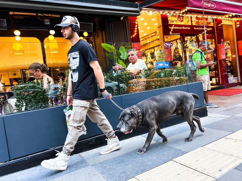 whatsapp_123 whatsapp_123