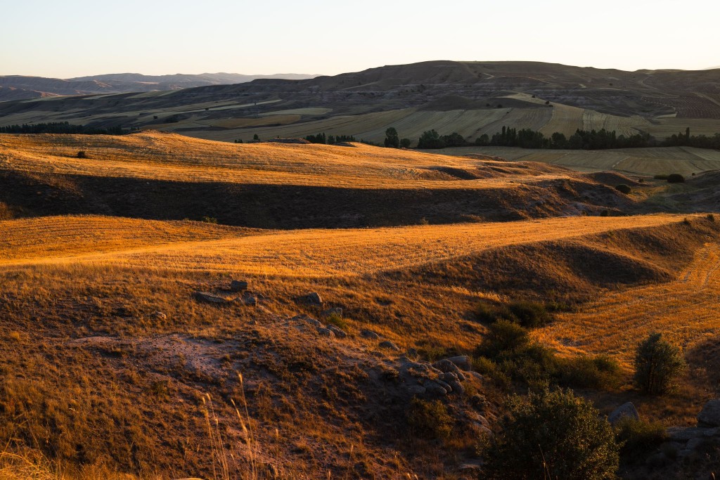 whatsapp_148 whatsapp_148