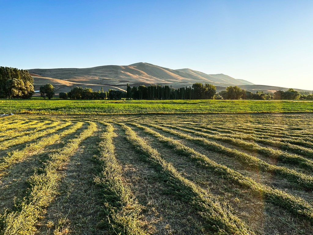 whatsapp_149 whatsapp_149