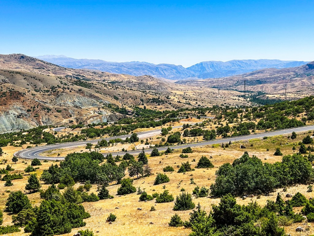 whatsapp_155 whatsapp_155