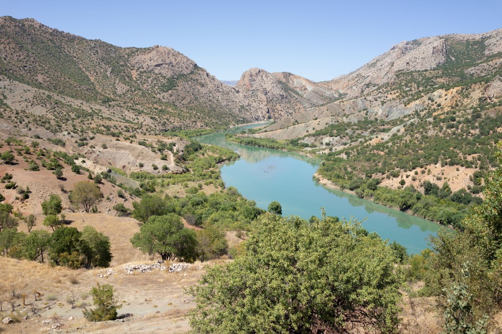 whatsapp_160 whatsapp_160