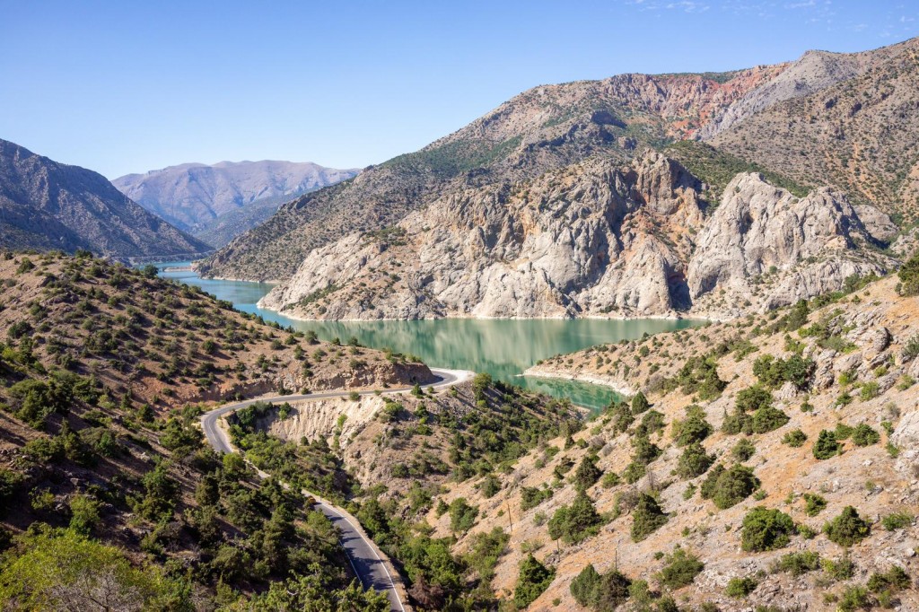 whatsapp_166 whatsapp_166