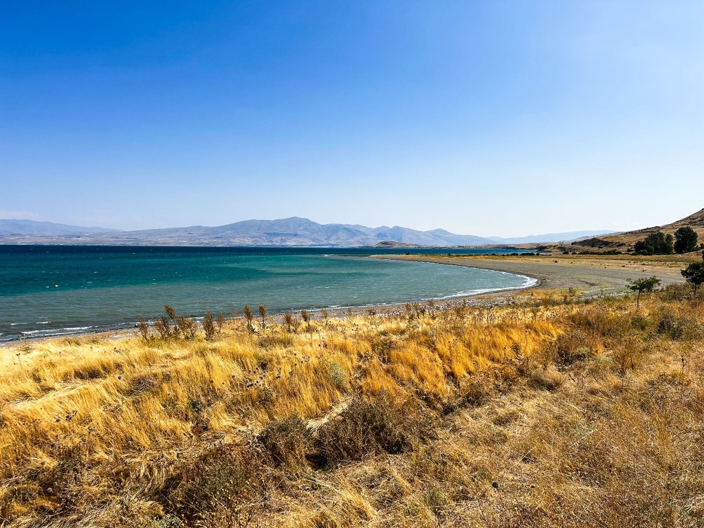 whatsapp_185 whatsapp_185