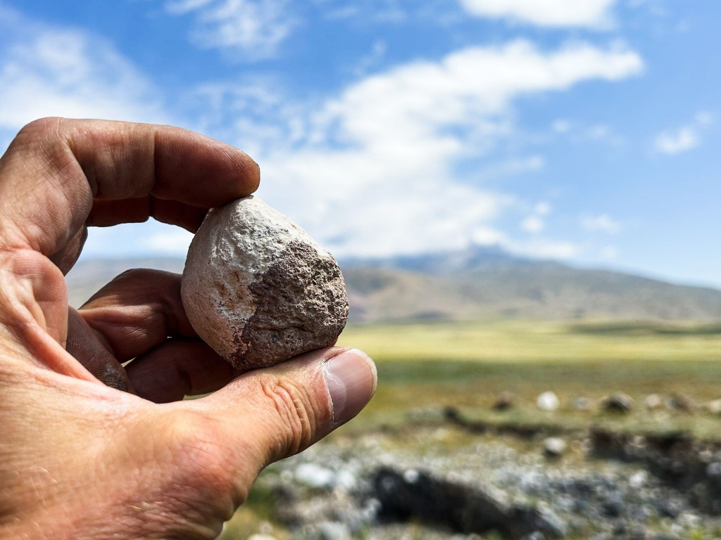 whatsapp_195 whatsapp_195