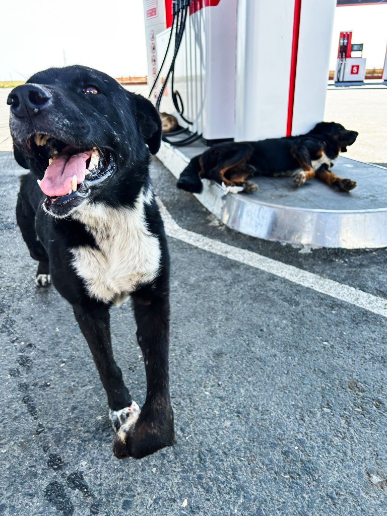 whatsapp_309 whatsapp_309