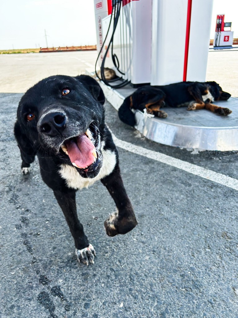 whatsapp_310 whatsapp_310