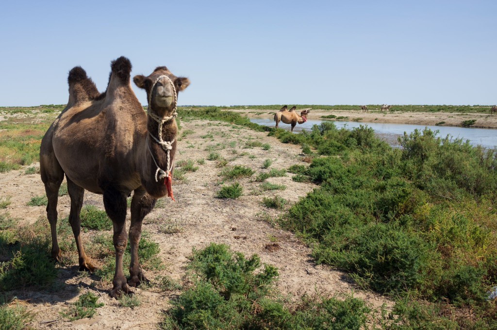 whatsapp_328 whatsapp_328