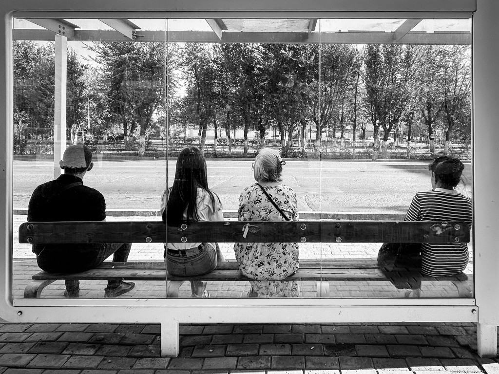 whatsapp_336 whatsapp_336