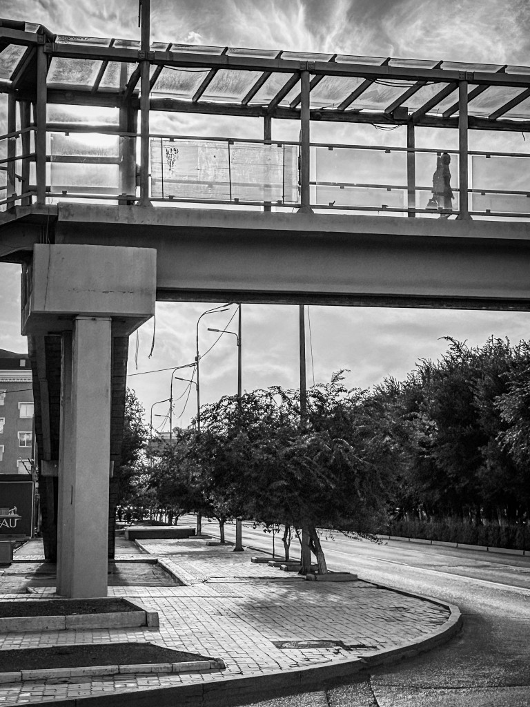 whatsapp_339 whatsapp_339