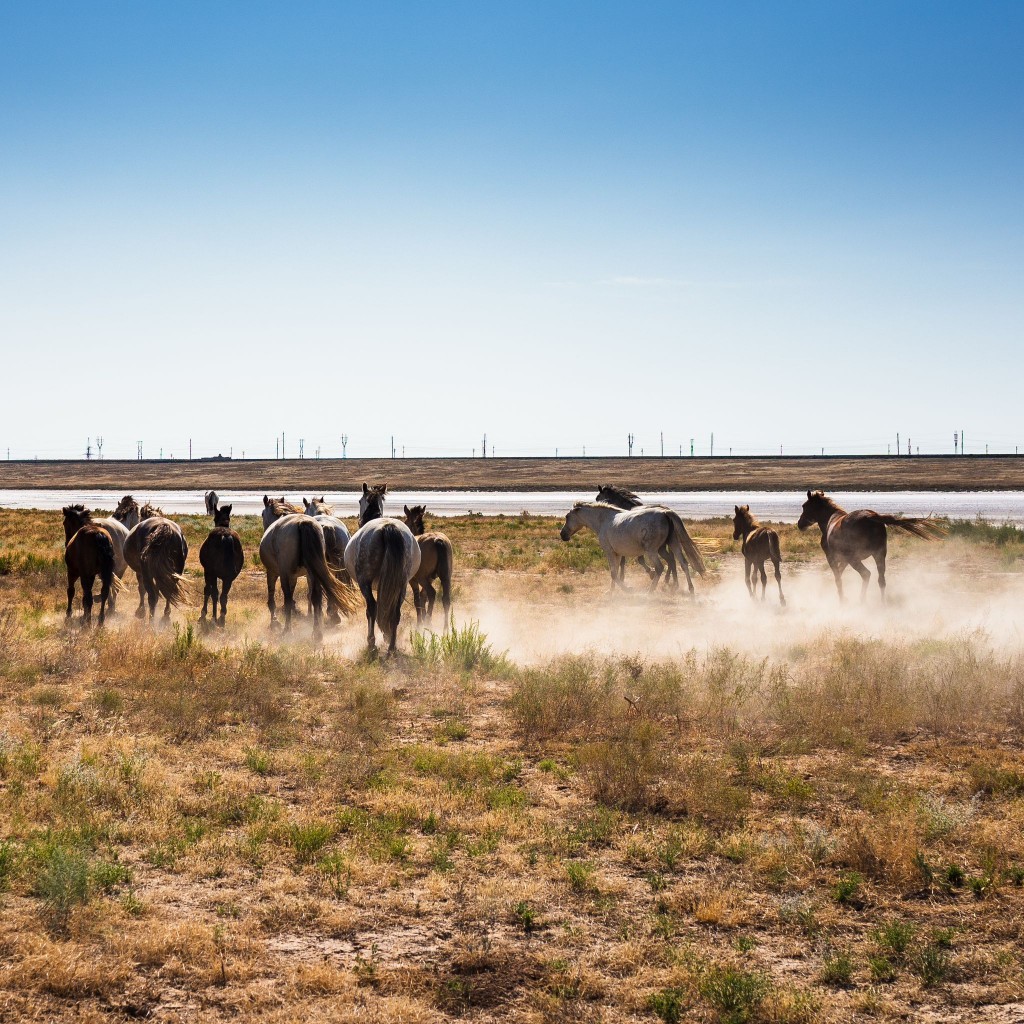 whatsapp_351 whatsapp_351